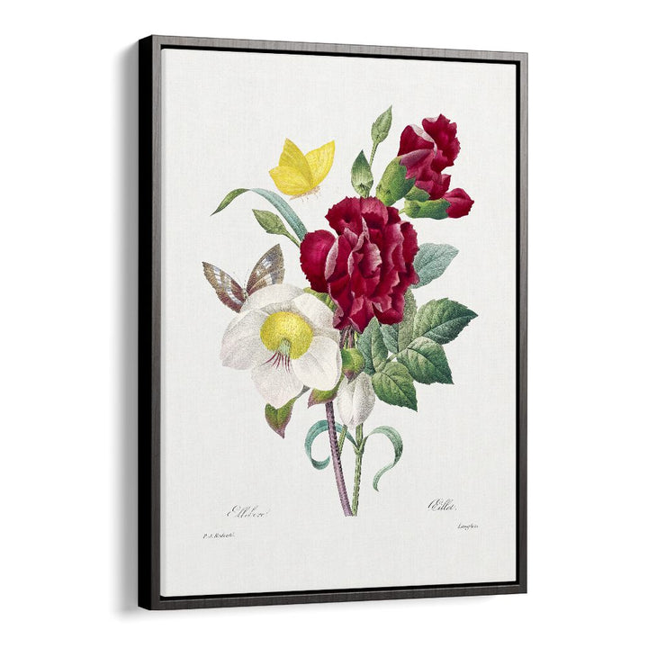 Elegant HELLEBORE AND OEILLET, FLORAL FLOWER PAINTINGS in a black floater frame, perfect for botanical decor.
