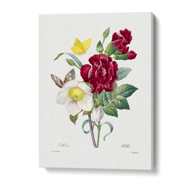 Stunning HELLEBORE AND OEILLET, FLORAL FLOWER PAINTINGS showcasing vibrant blooms and elegant design for your decor.