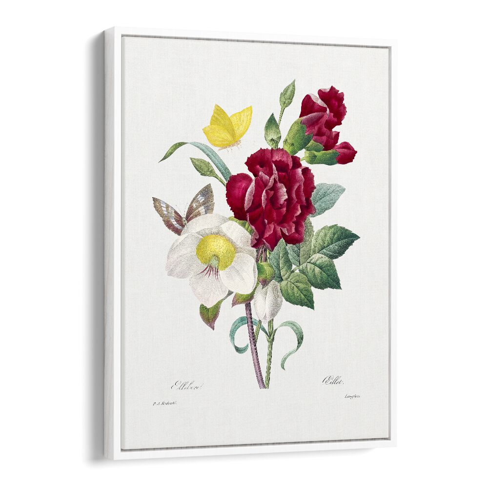 Stunning HELLEBORE AND OEILLET, FLORAL FLOWER PAINTINGS in a white floater frame, perfect for elegant home décor.