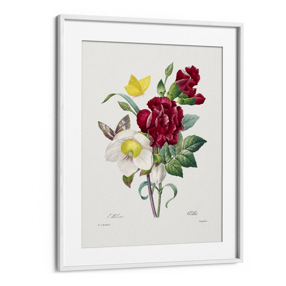 Stunning HELLEBORE AND OEILLET, FLORAL FLOWER PAINTINGS in a white frame, perfect for botanical elegance in your home.