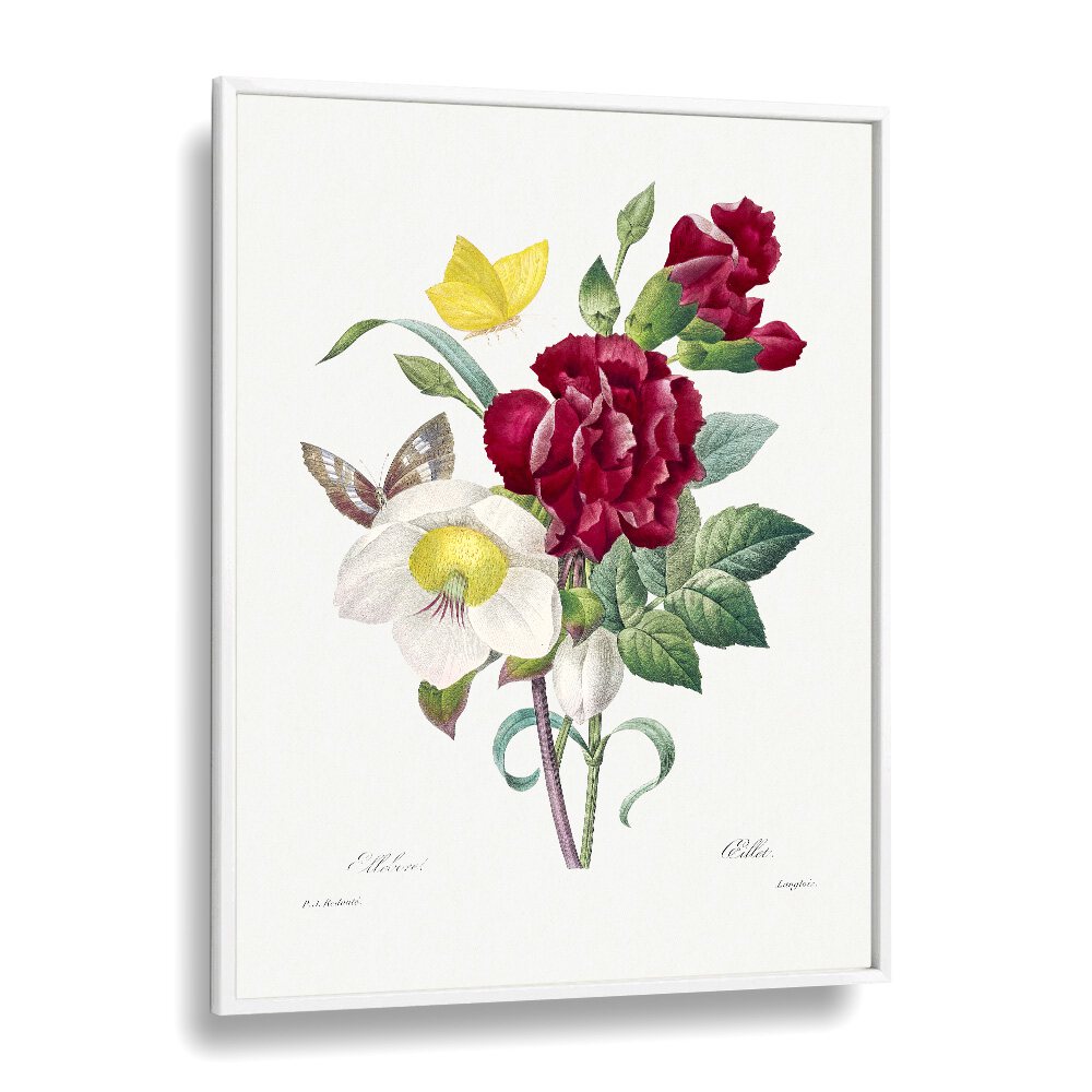 Hellebore and Oeillet floral flower paintings in a white frame, adding botanical elegance to any space.