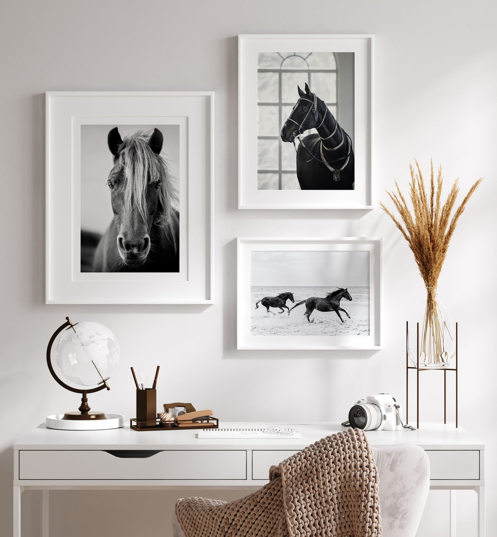 Sophisticated HORSES GALLERY WALL featuring stunning framed horse prints, perfect for stylish GALLERY WALLS in any workspace.