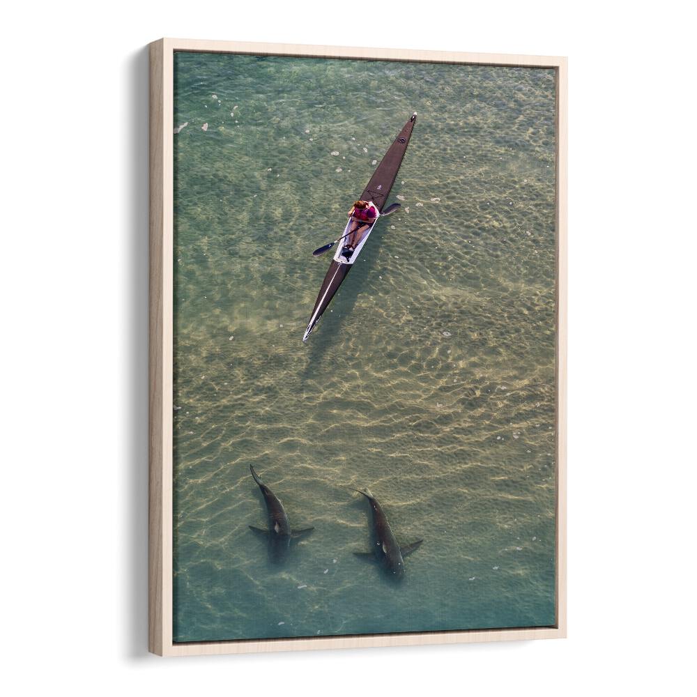 A kayaker glides over sharks in clear water from the SHARKS COMPANION, PHOTOGRAPHY PRINTS collection.