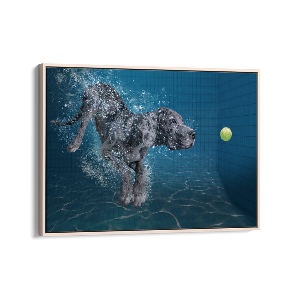 Dynamic SPLASH DOG, PHOTOGRAPHY PRINTS showcase a dog diving into water, capturing nature's playful essence.
