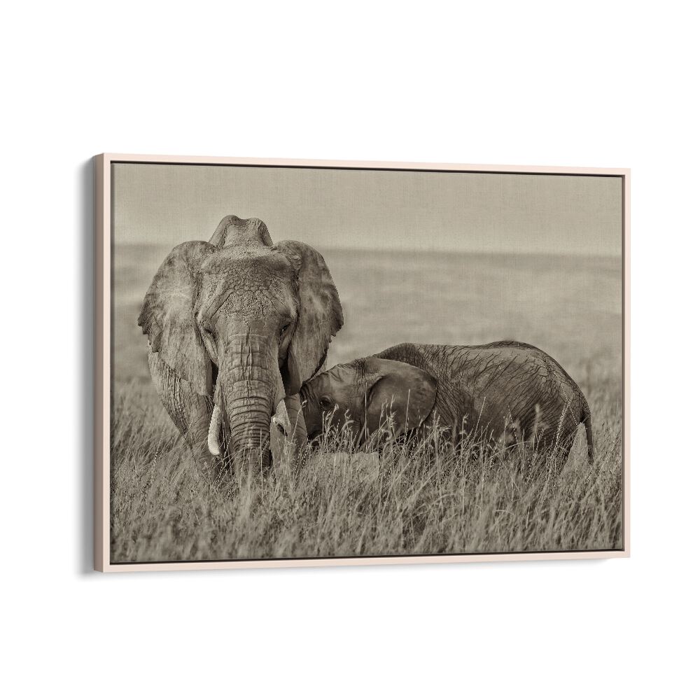 Capture the warmth of nature with SNUGGLING, PHOTOGRAPHY PRINTS featuring an intimate moment between elephants.