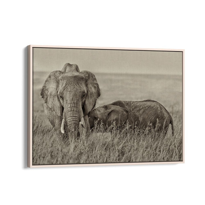Capture the warmth of nature with SNUGGLING, PHOTOGRAPHY PRINTS featuring an intimate moment between elephants.