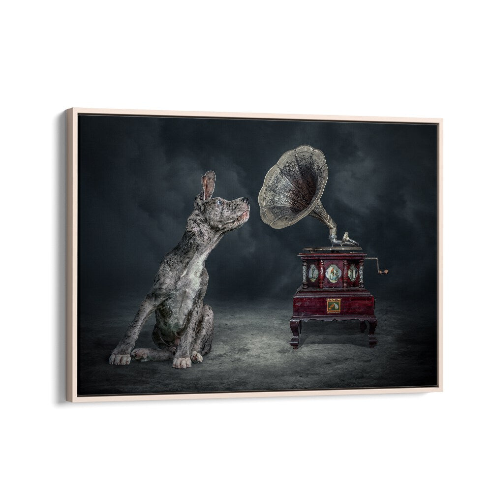 Surreal MUSIC DOG photography prints featuring a dog beside a vintage gramophone, perfect for creative decor.