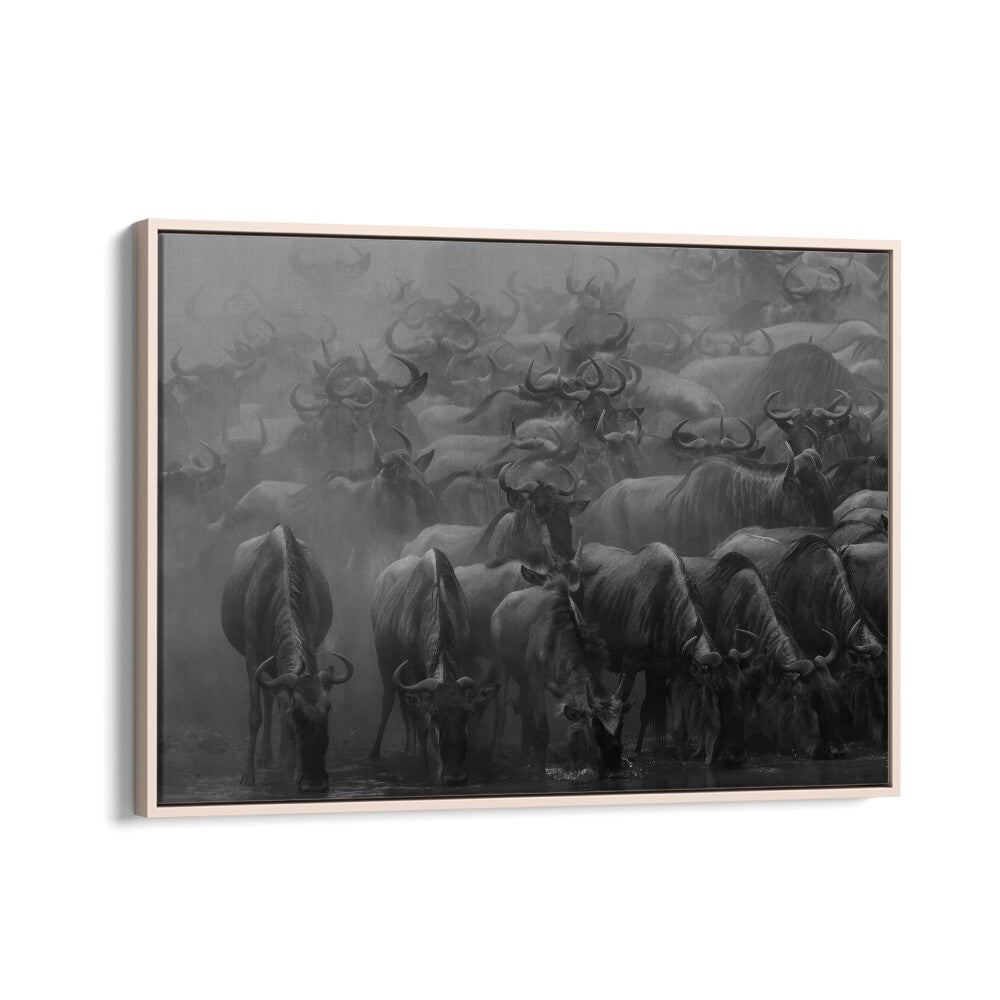 Stunning black and white photography print showcasing "The Great Migration" capturing wildlife's majestic movement.