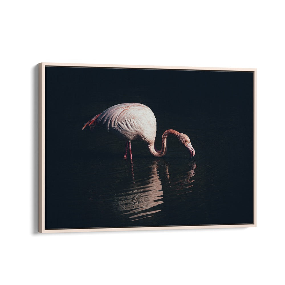 Elegant ENLIGHTED FLAMINGO, PHOTOGRAPHY PRINTS showcase a flamingo wading in serene water for an enchanting decor.