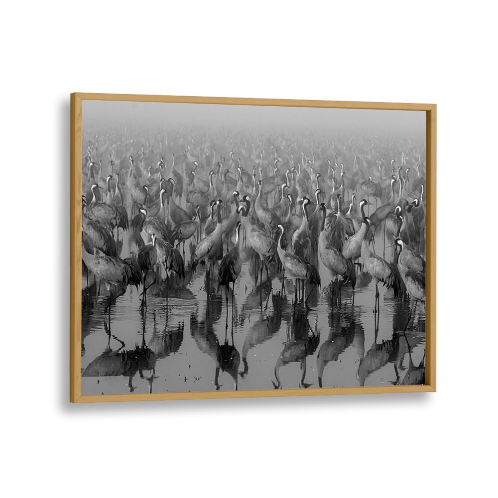 CROSSPOINT, PHOTOGRAPHY PRINTS showcase elegant cranes reflecting in water, perfect for art lovers and photographers.