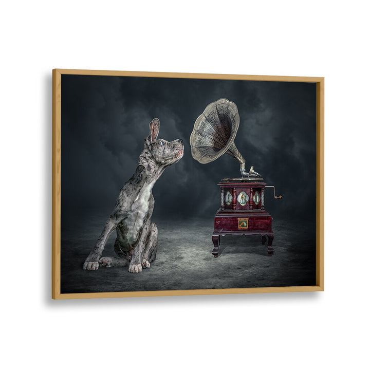 Surreal MUSIC DOG photography prints showcase a captivating dog near a vintage gramophone, sparking creativity.