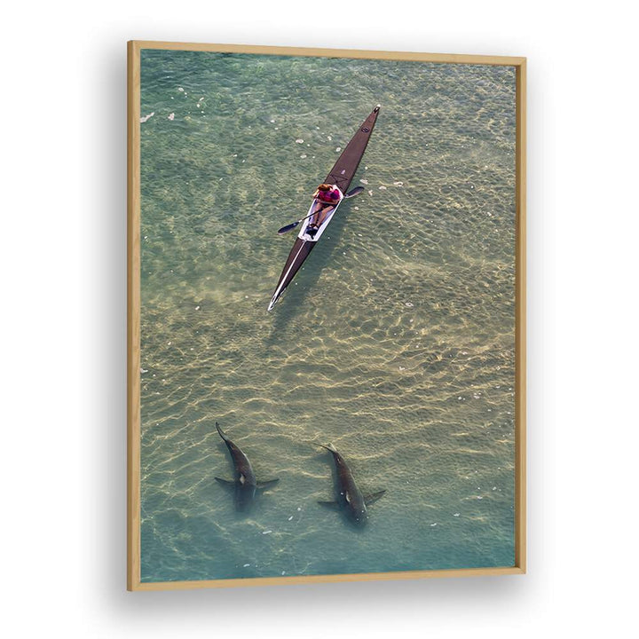 Kayaker gliding above two sharks in clear water, showcasing SHARKS COMPANION, PHOTOGRAPHY PRINTS for ocean lovers.