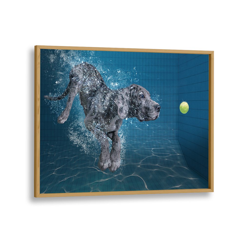 Dynamic SPLASH DOG , PHOTOGRAPHY PRINTS showcase a dog diving into water, capturing the beauty of wildlife.
