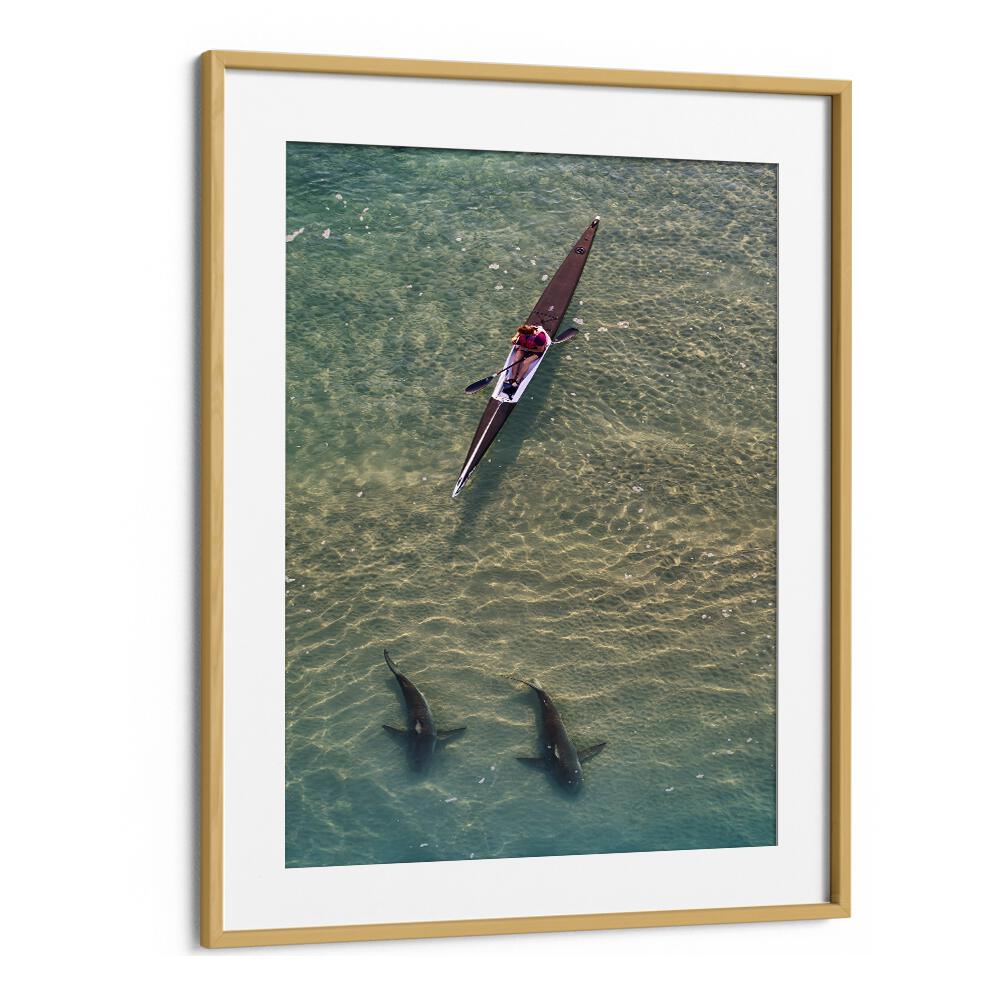 Kayaker glides over two sharks, showcasing the beauty of marine life in SHARKS COMPANION, PHOTOGRAPHY PRINTS.