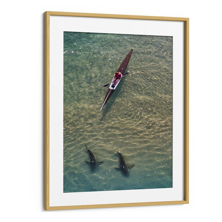 Kayaker glides over two sharks, showcasing the beauty of marine life in SHARKS COMPANION, PHOTOGRAPHY PRINTS.