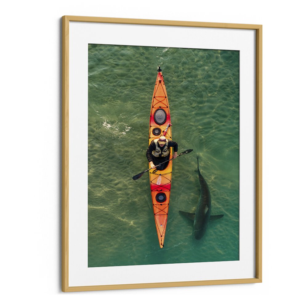 A kayaker shares an intimate shark encounter, perfect for photography prints that capture ocean beauty.