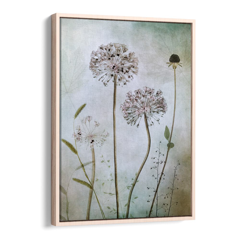 Elegant ALLIUM, FLORAL FLOWER PAINTINGS perfect for elevating home decor with its sophisticated allure.
