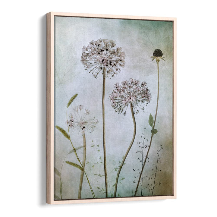 Elegant ALLIUM, FLORAL FLOWER PAINTINGS perfect for elevating home decor with its sophisticated allure.