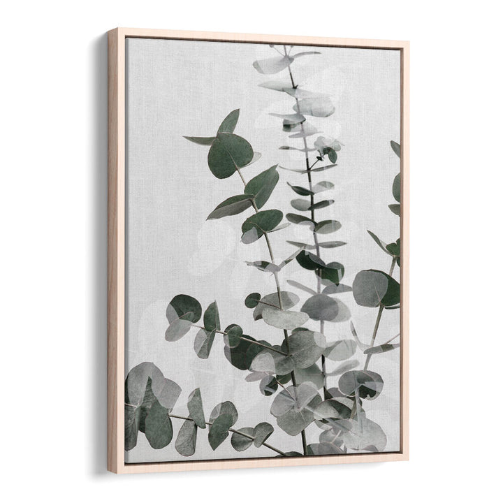 Capture nature's beauty with EUCALYPTUS CREATIVE VI, FLORAL FLOWER PAINTINGS, perfect for enhancing your home decor.