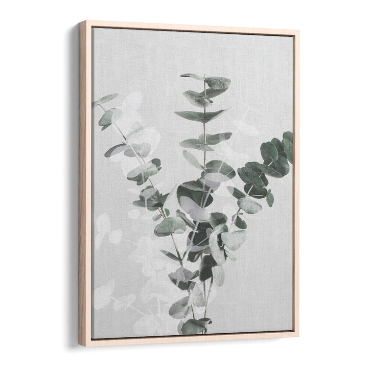 EUCALYPTUS CREATIVE VII, FLORAL FLOWER PAINTINGS showcase elegant green leaves, perfect for enhancing any modern space.