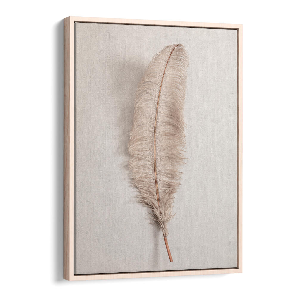 Elegant FEATHER II, BOHO ART PAINTINGS featuring a soft feather design, perfect for stylish home decor.
