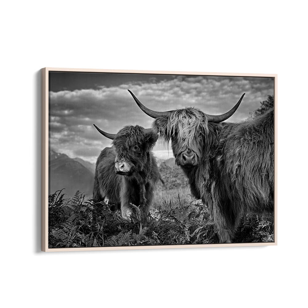 FRIENDS , PHOTOGRAPHY PRINTS