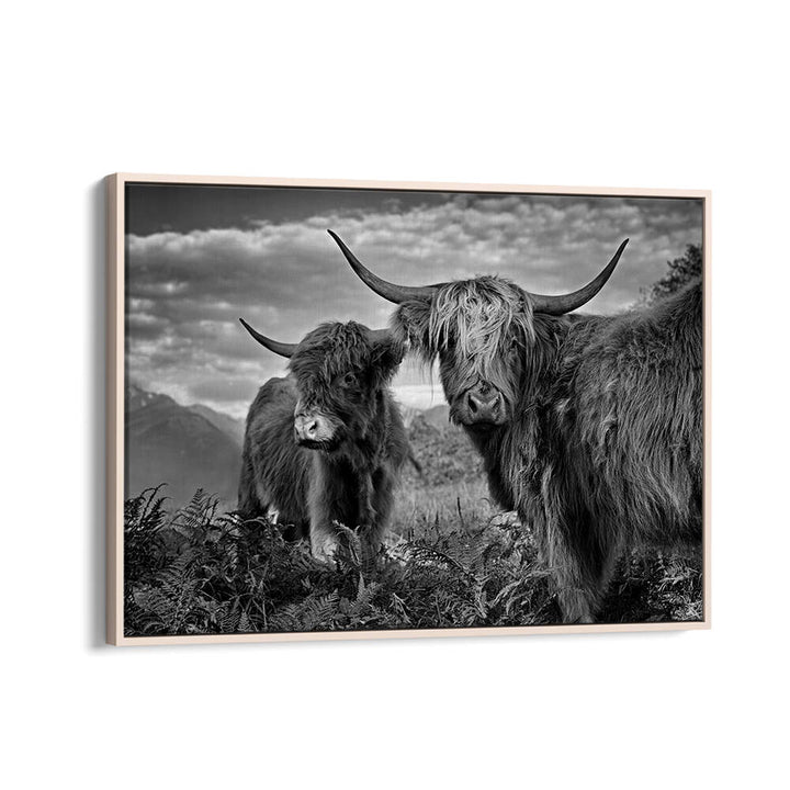 FRIENDS , PHOTOGRAPHY PRINTS