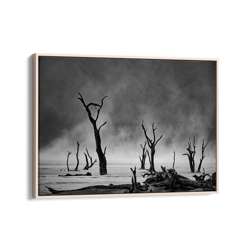 NAMIBIA - THE SPIRIT OF WILDERNESS III , PHOTOGRAPHY PRINTS