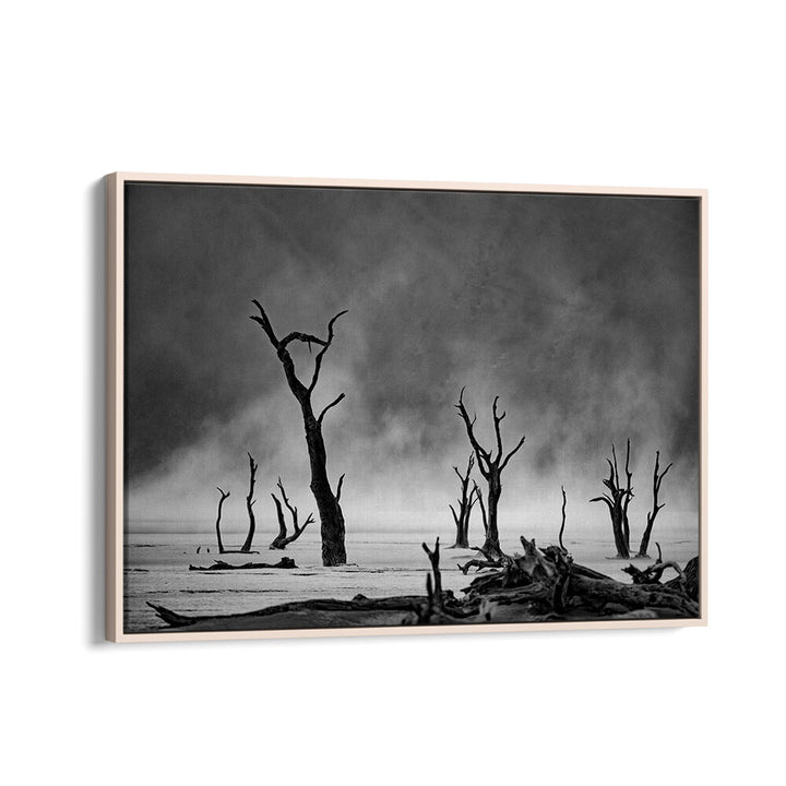 NAMIBIA - THE SPIRIT OF WILDERNESS III , PHOTOGRAPHY PRINTS