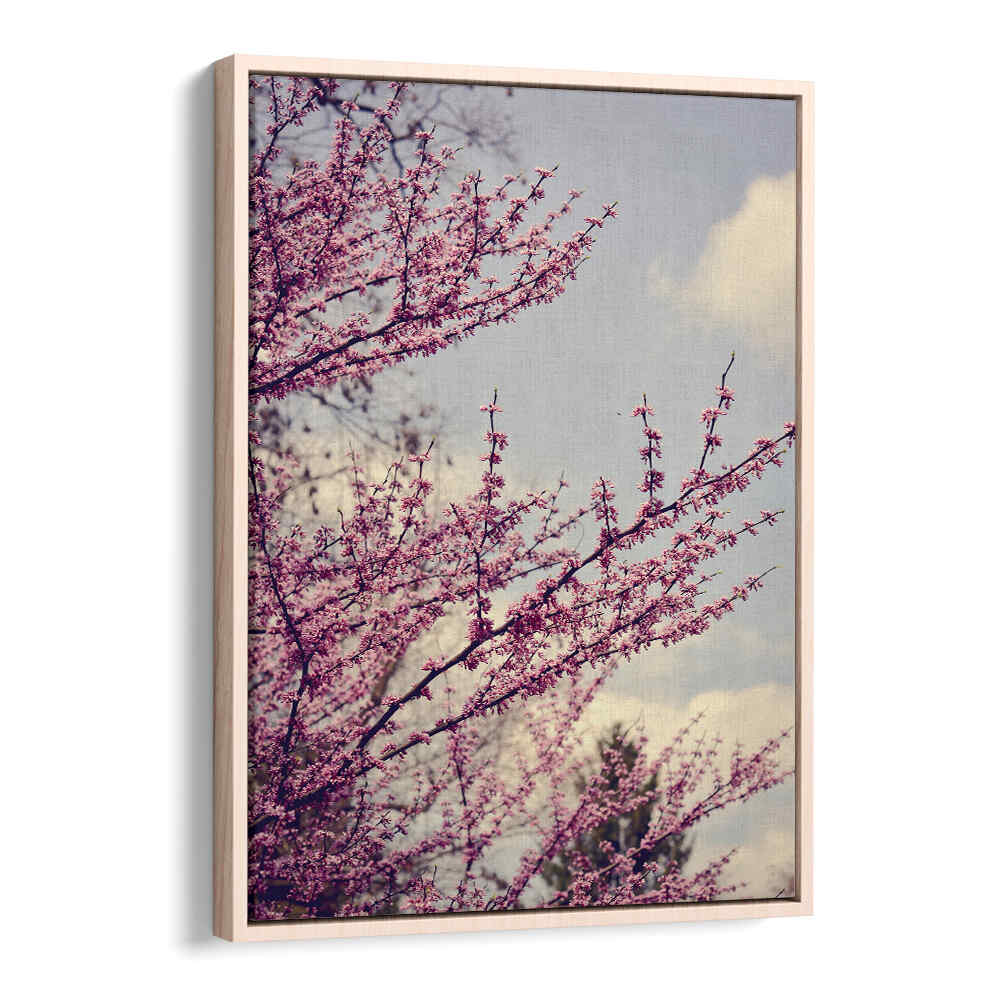 SPRING PHOTOGRAPH , FLORAL FLOWER PAINTINGS