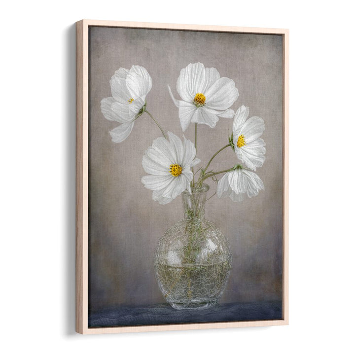 Elegant SIMPLY COSMOS, FLORAL FLOWER PAINTINGS showcase white flowers in a stylish vase, perfect for modern decor.