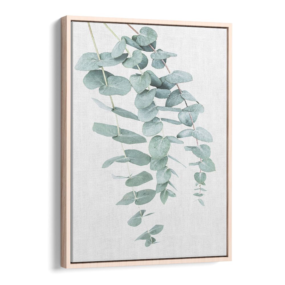EUCALYPTUS I, FLORAL FLOWER PAINTINGS showcase elegant eucalyptus leaves for a fresh, soothing ambiance in your space.