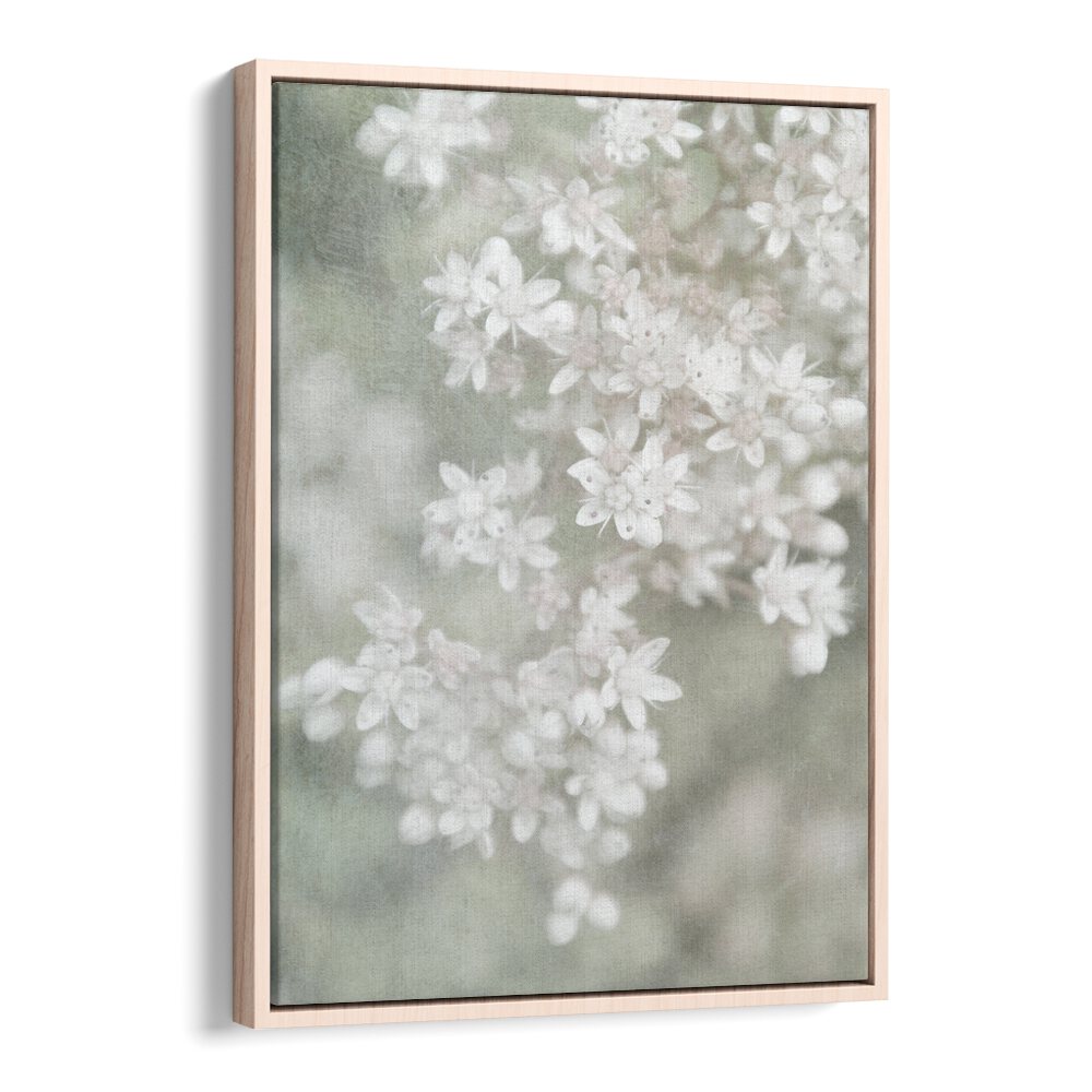Stylish FADING, FLORAL FLOWER PAINTINGS featuring soft brushstrokes in an elegant botanical design. Perfect for decor!