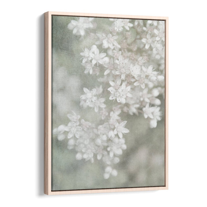 Stylish FADING, FLORAL FLOWER PAINTINGS featuring soft brushstrokes in an elegant botanical design. Perfect for decor!