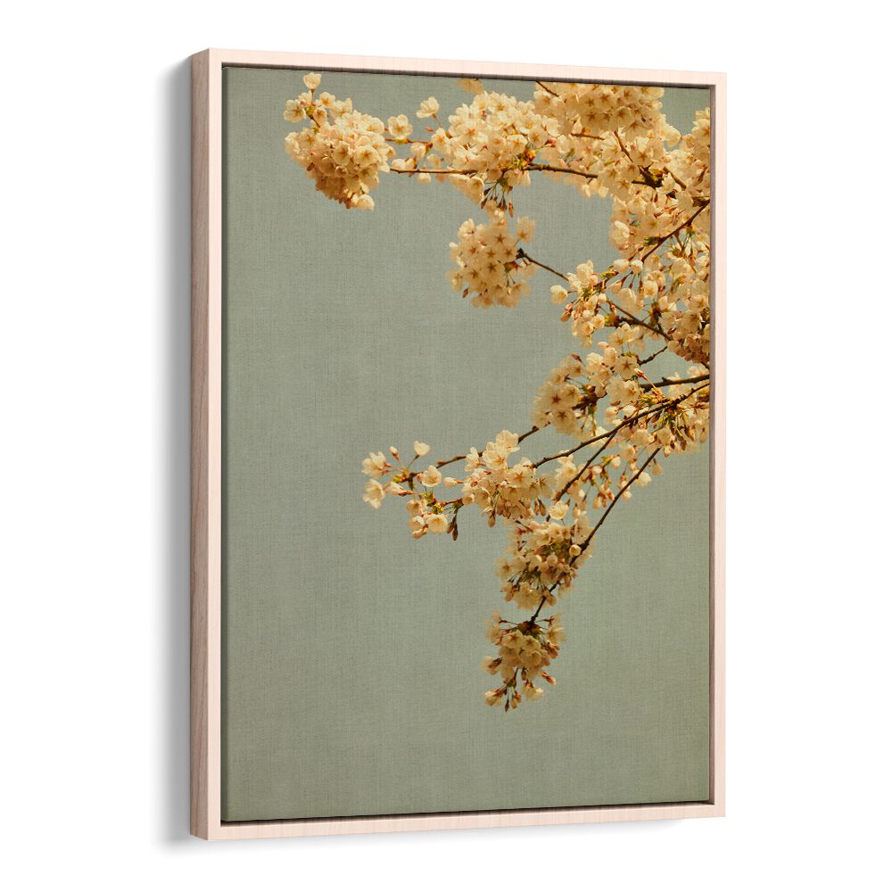 Spring Morning Floral Flower Paintings showcase delicate blossoms against a serene backdrop, perfect for brightening your space.