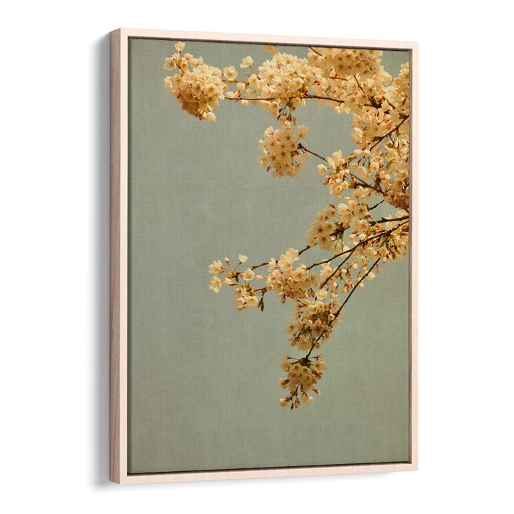 Spring Morning Floral Flower Paintings showcase delicate blossoms against a serene backdrop, perfect for brightening your space.