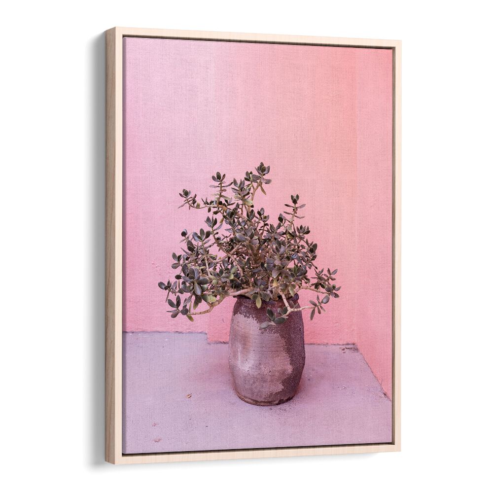 Stunning SPANISH RUSTIC SUCCULENT in a vase, perfect for floral flower paintings to enhance any space.
