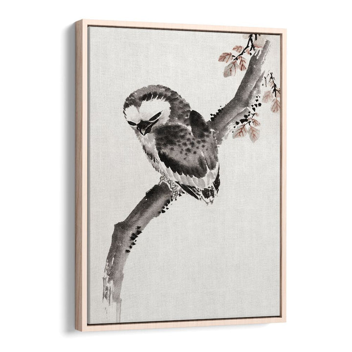 OWL ALBUM OF SKETCHES , VINTAGE PAINTINGS