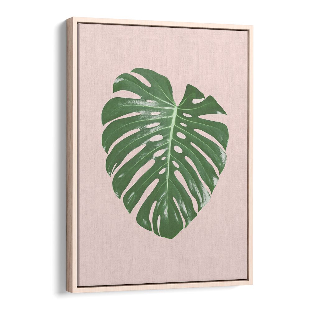 MONSTERA LEAF BLUSH, FLORAL FLOWER PAINTINGS showcase tropical elegance, perfect for enhancing your home decor.