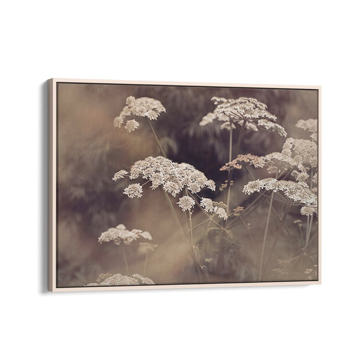 Vibrant WILD PARSLEY, FLORAL FLOWER PAINTINGS highlighting the beauty of nature for your decor. Perfect for any space.
