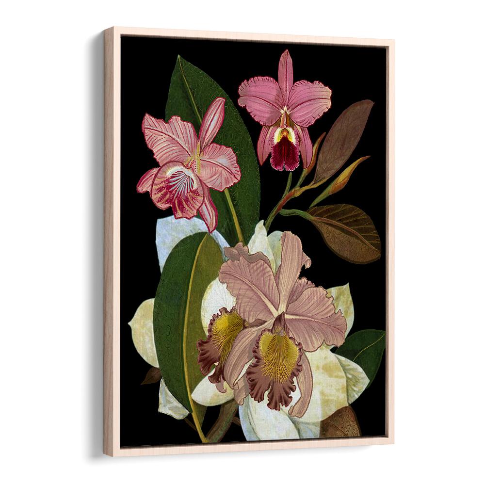 Stunning ORCHIDS II, FLORAL FLOWER PAINTINGS showcase vibrant blooms, perfect for elegant home decor.