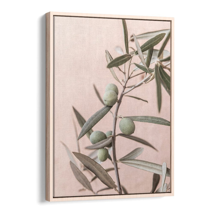 Elegant OLIVES, FLORAL FLOWER PAINTINGS showcasing handpicked olives on a soft background, perfect for home decor.