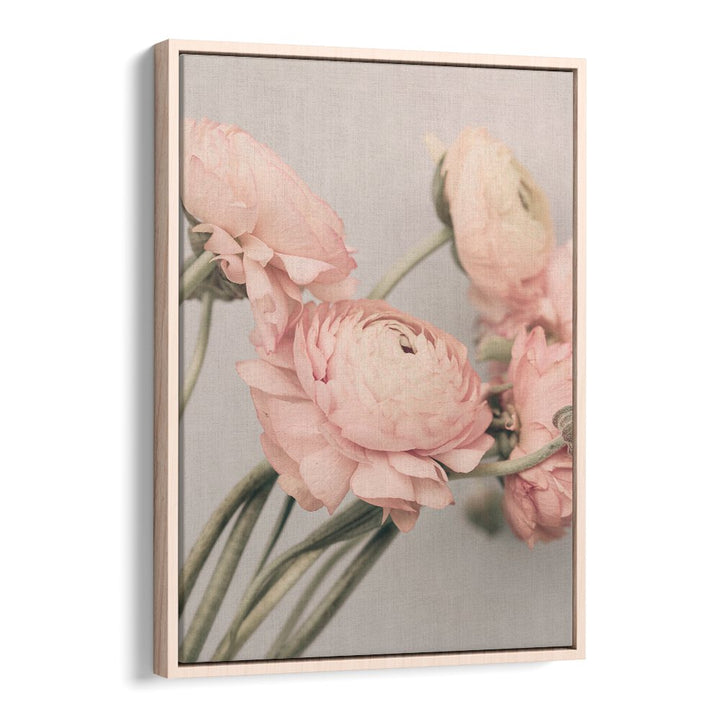 Delicate pink blooms captured in ROSE III, FLORAL FLOWER PAINTINGS, a stylish addition for floral enthusiasts.