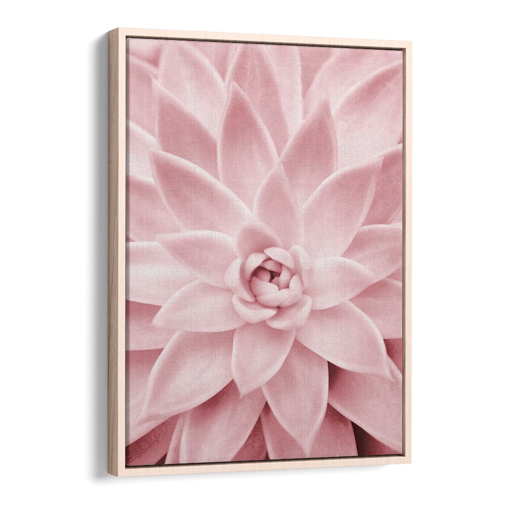 Experience elegance with the PINK SUCCULENT, FLORAL FLOWER PAINTINGS, perfect for enhancing your decor.