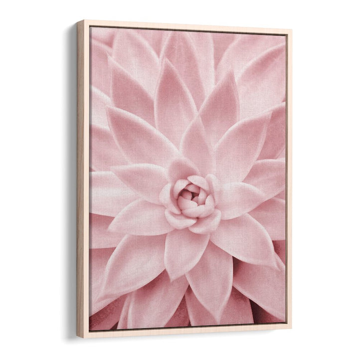 Experience elegance with the PINK SUCCULENT, FLORAL FLOWER PAINTINGS, perfect for enhancing your decor.