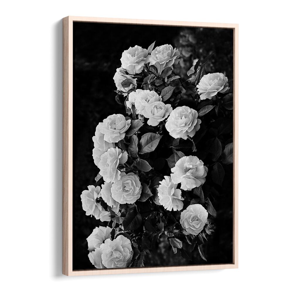 Beautiful ROSE BUSH in floral flower paintings, showcasing elegant blooms for a stunning garden transformation.
