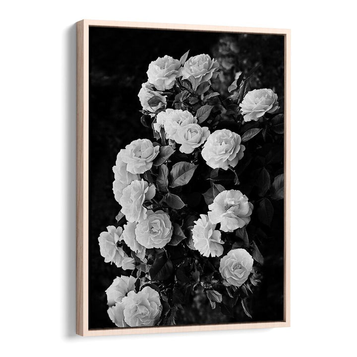 Beautiful ROSE BUSH in floral flower paintings, showcasing elegant blooms for a stunning garden transformation.