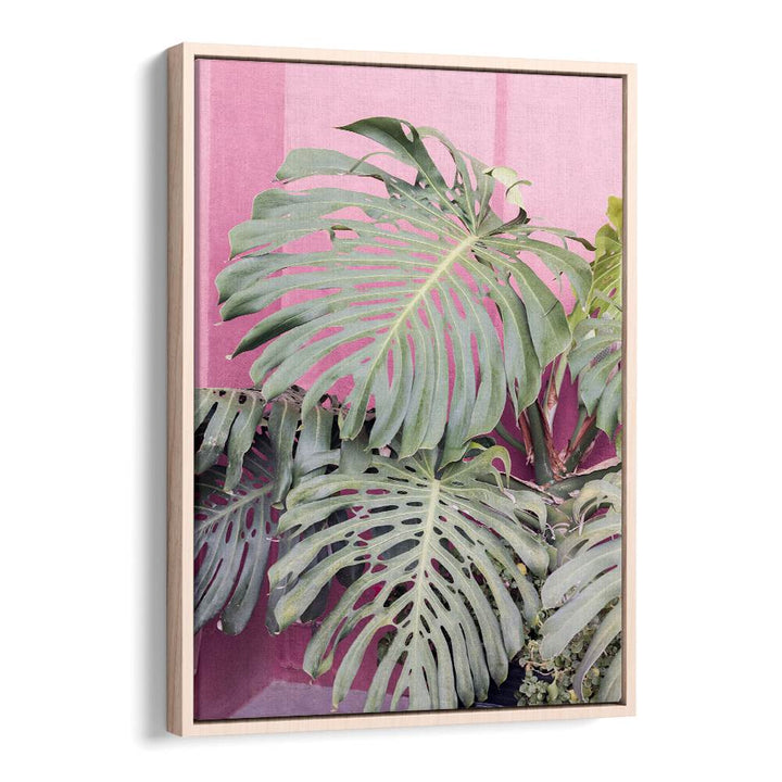 Lush MONSTERA LEAF LA MURALLA, FLORAL FLOWER PAINTINGS bring tropical beauty to your home decor with Oakwood Floater.
