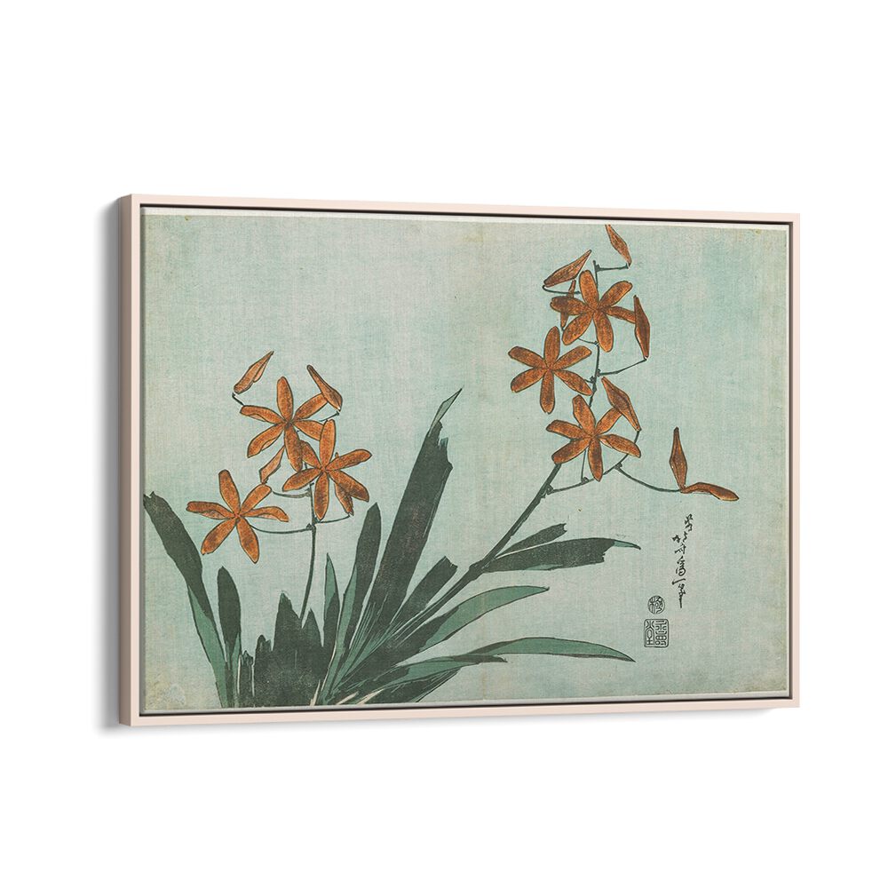 BLACKBERRY LILY , VINTAGE PAINTINGS