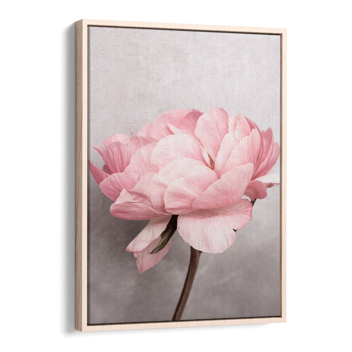 Beautiful PEONY, FLORAL FLOWER PAINTINGS capturing lush blooms, perfect for transforming any space into a vibrant oasis.